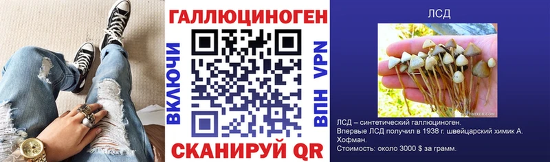 Псилоцибиновые грибы мицелий  Сергач 